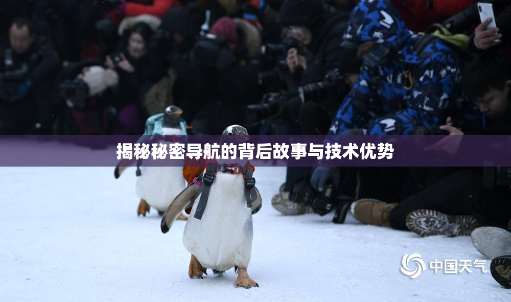 揭秘秘密导航的背后故事与技术优势
