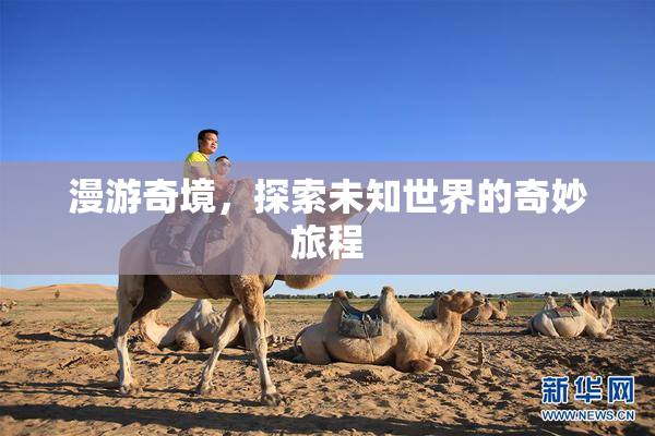 漫游奇境，探索未知世界的奇妙旅程