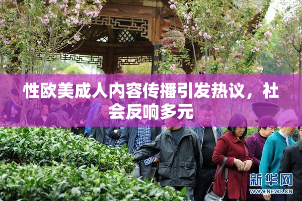 性欧美成人内容传播引发热议，社会反响多元