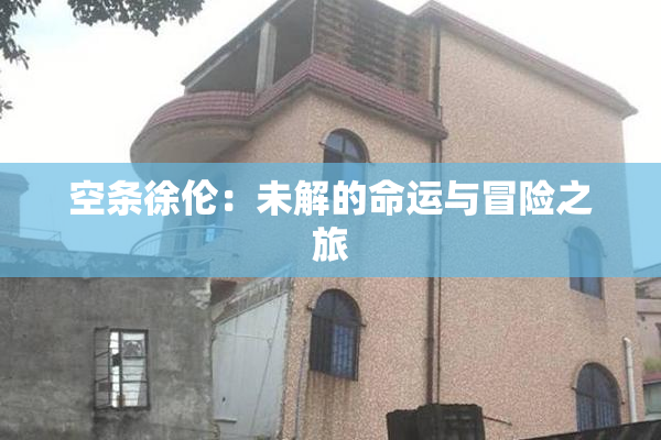 空条徐伦：未解的命运与冒险之旅