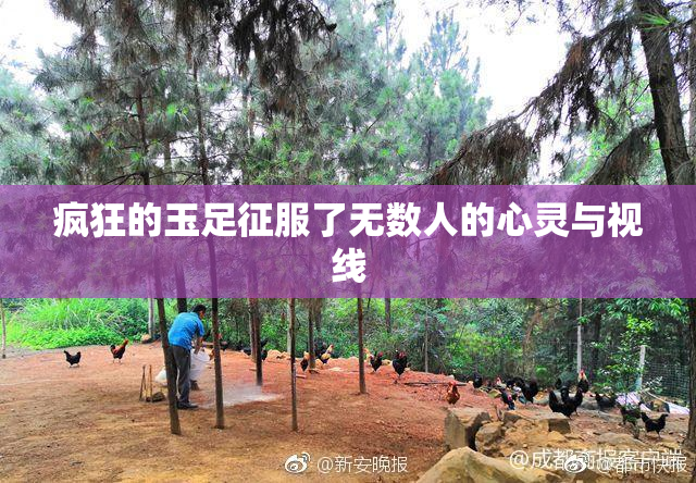 疯狂的玉足征服了无数人的心灵与视线