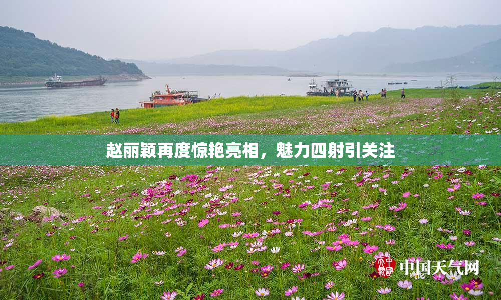 赵丽颖再度惊艳亮相，魅力四射引关注