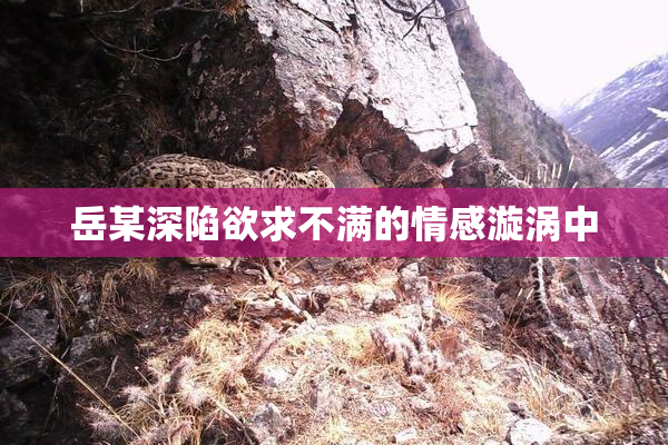 岳某深陷欲求不满的情感漩涡中