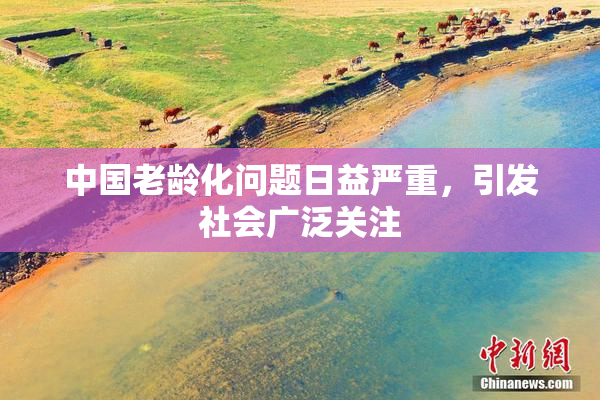 中国老龄化问题日益严重，引发社会广泛关注