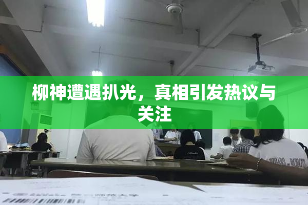 柳神遭遇扒光，真相引发热议与关注