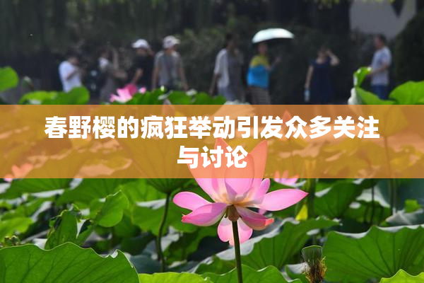 春野樱的疯狂举动引发众多关注与讨论