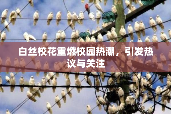 白丝校花重燃校园热潮，引发热议与关注