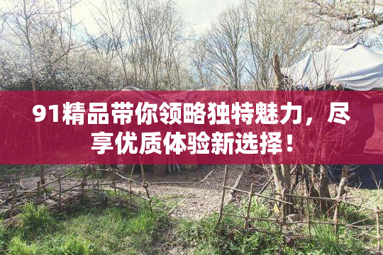 91精品带你领略独特魅力，尽享优质体验新选择！