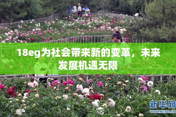 18eg为社会带来新的变革，未来发展机遇无限