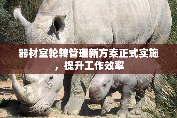 器材室轮转管理新方案正式实施，提升工作效率