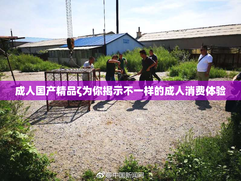 成人国产精品ζ为你揭示不一样的成人消费体验