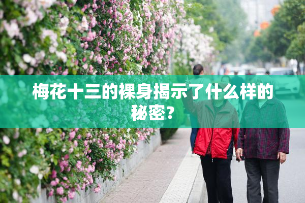 梅花十三的裸身揭示了什么样的秘密？