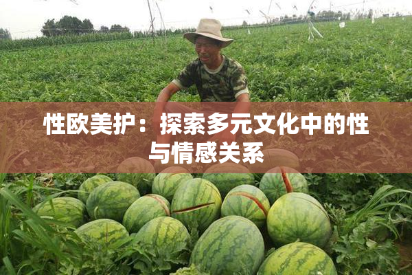性欧美护：探索多元文化中的性与情感关系