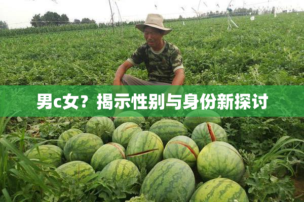 男c女？揭示性别与身份新探讨
