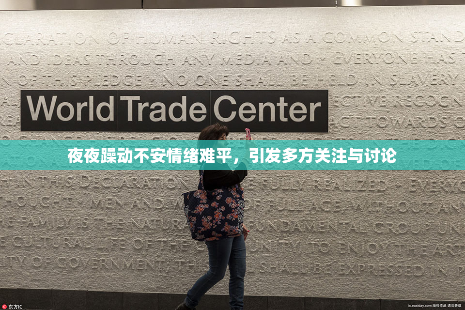 夜夜躁动不安情绪难平，引发多方关注与讨论