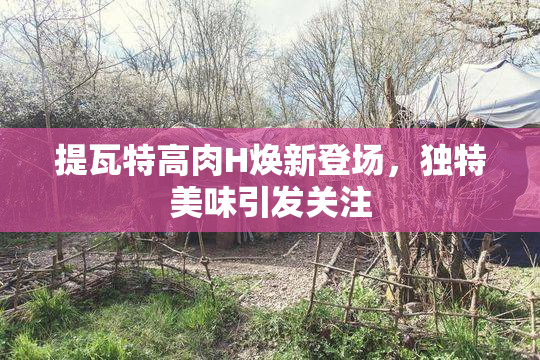 提瓦特高肉H焕新登场，独特美味引发关注