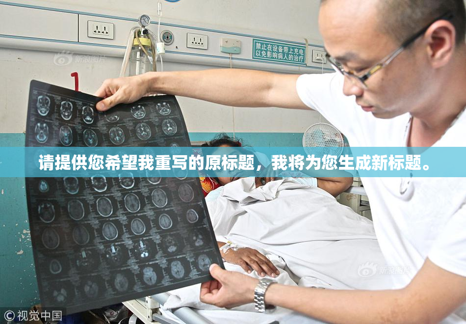 请提供您希望我重写的原标题，我将为您生成新标题。