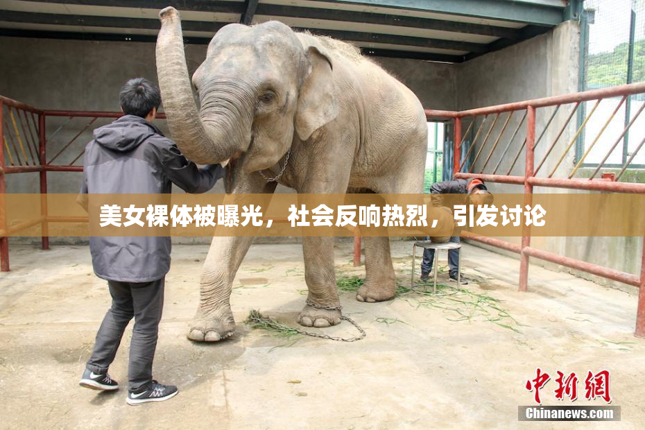 美女裸体被曝光，社会反响热烈，引发讨论
