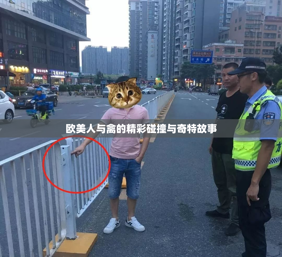 欧美人与禽的精彩碰撞与奇特故事