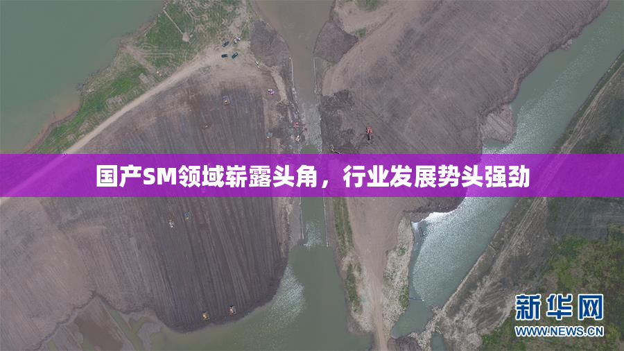 国产SM领域崭露头角，行业发展势头强劲