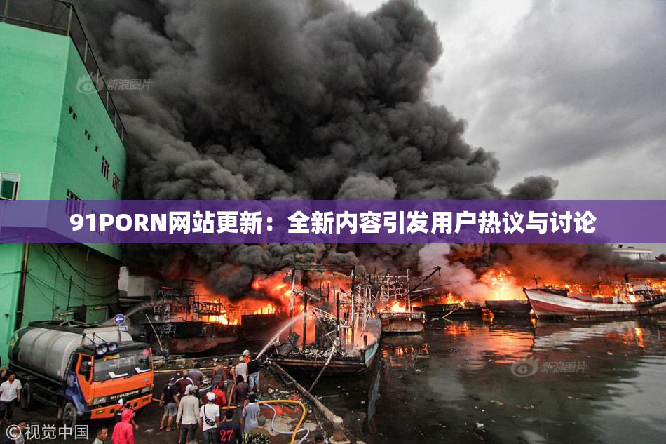 91PORN网站更新：全新内容引发用户热议与讨论