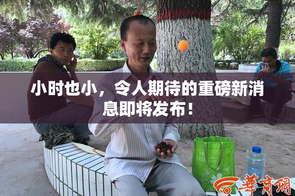 小时也小，令人期待的重磅新消息即将发布！