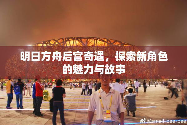 明日方舟后宫奇遇，探索新角色的魅力与故事