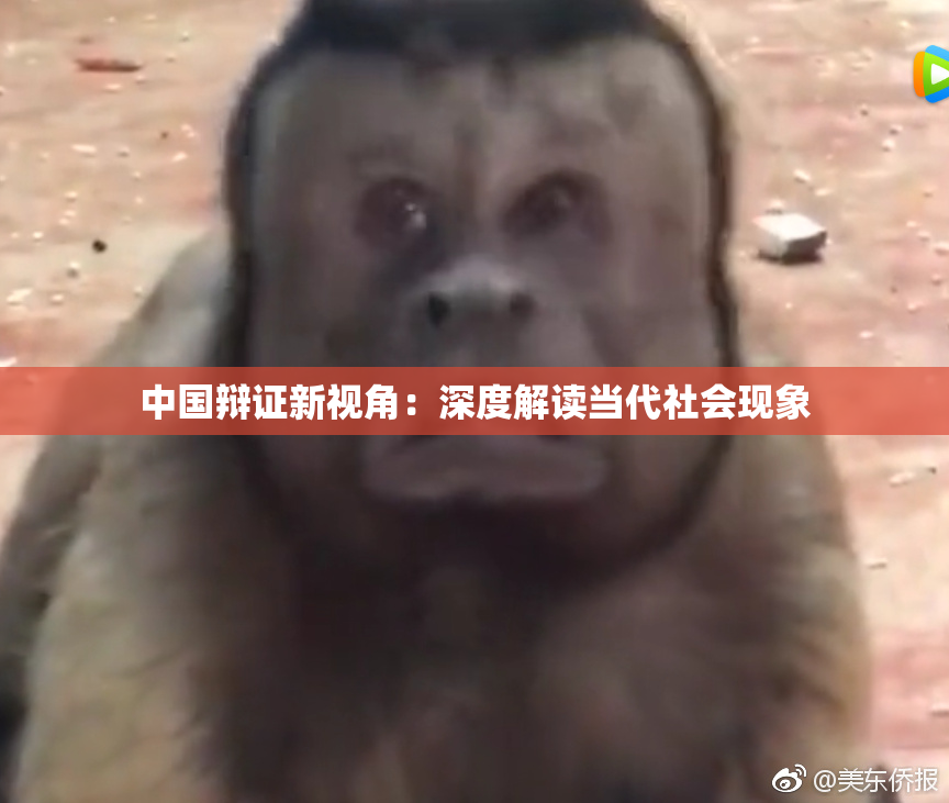 中国辩证新视角：深度解读当代社会现象