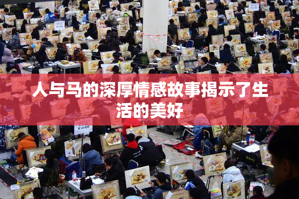 人与马的深厚情感故事揭示了生活的美好