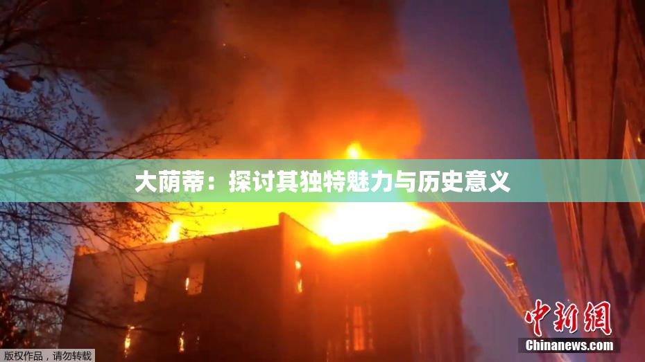 大荫蒂：探讨其独特魅力与历史意义