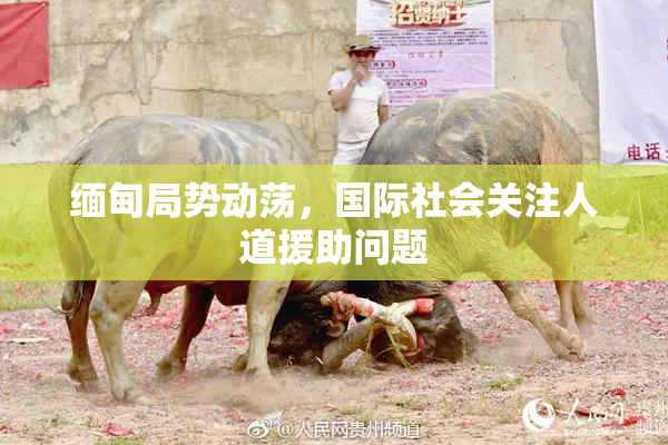 缅甸局势动荡，国际社会关注人道援助问题