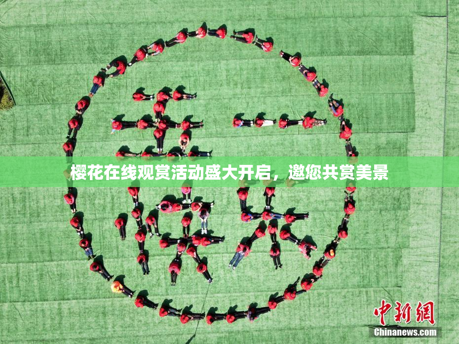 樱花在线观赏活动盛大开启，邀您共赏美景
