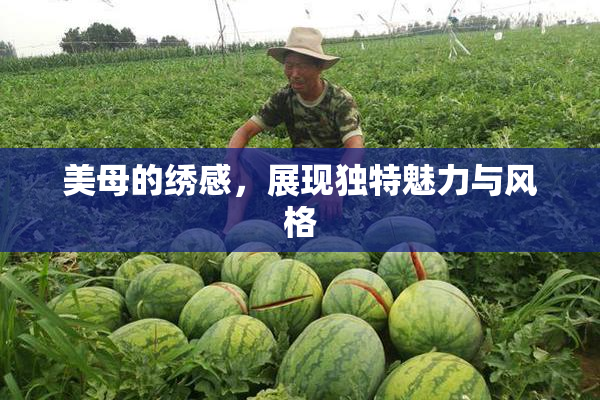 美母的绣感，展现独特魅力与风格