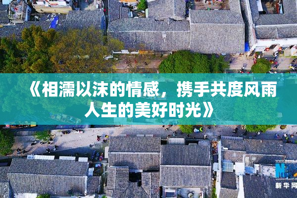 《相濡以沫的情感，携手共度风雨人生的美好时光》