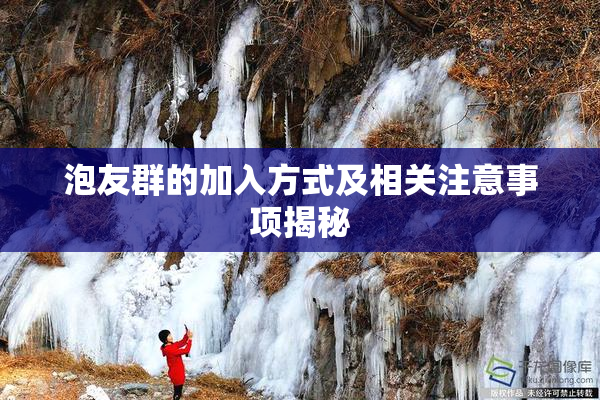泡友群的加入方式及相关注意事项揭秘