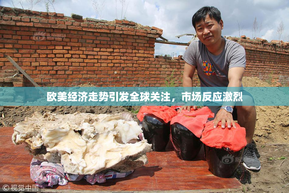 欧美经济走势引发全球关注，市场反应激烈