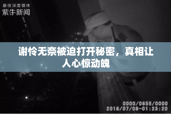 谢怜无奈被迫打开秘密，真相让人心惊动魄