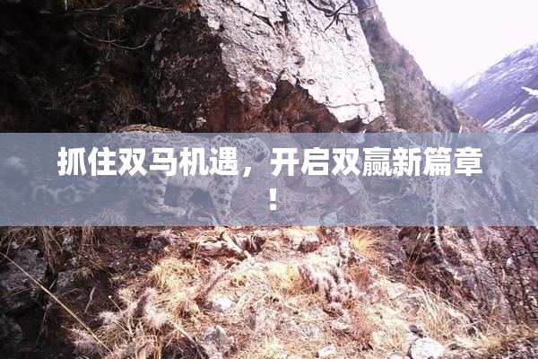 抓住双马机遇，开启双赢新篇章！