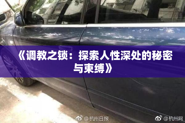 《调教之锁：探索人性深处的秘密与束缚》