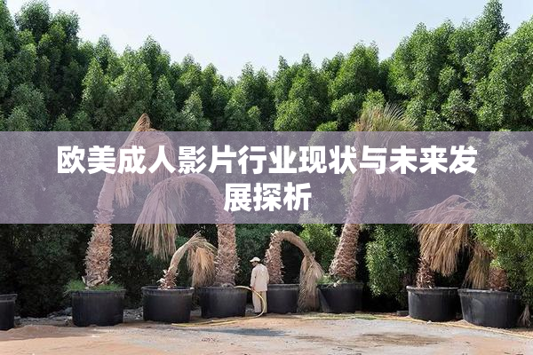 欧美成人影片行业现状与未来发展探析