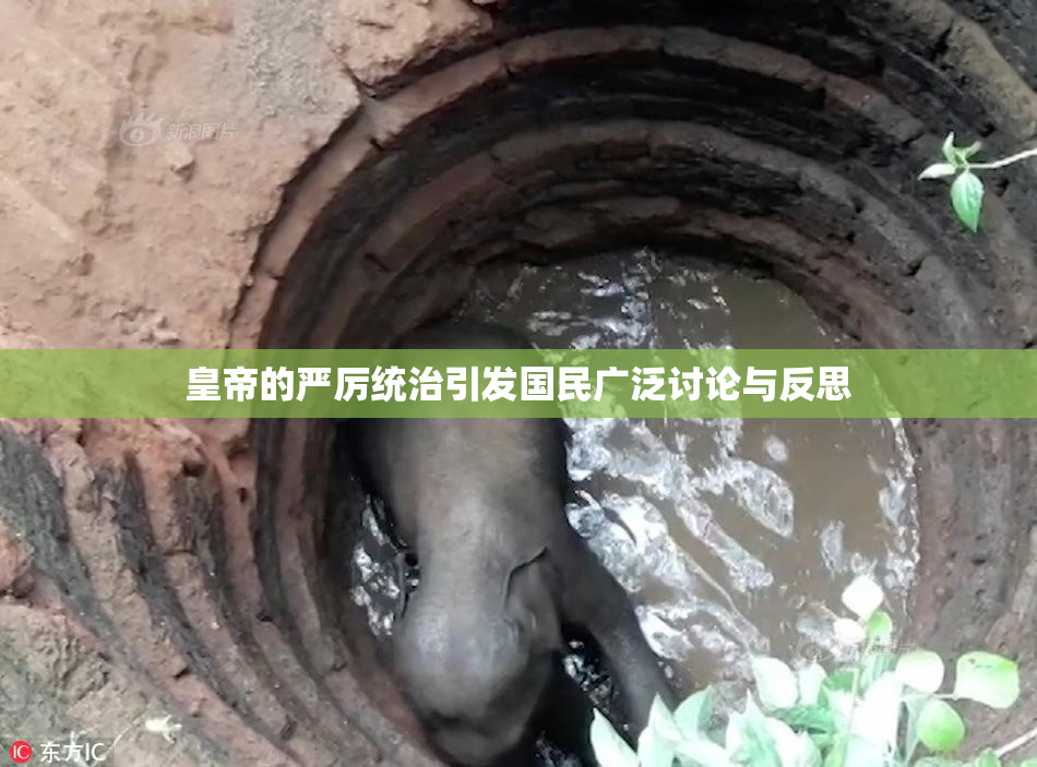 皇帝的严厉统治引发国民广泛讨论与反思
