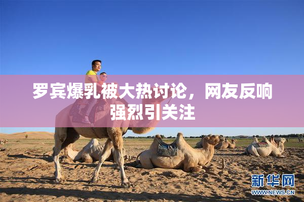 罗宾爆乳被大热讨论，网友反响强烈引关注