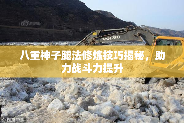 八重神子腿法修炼技巧揭秘，助力战斗力提升