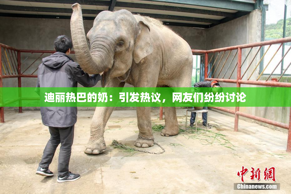 迪丽热巴的奶：引发热议，网友们纷纷讨论