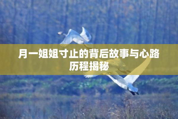 月一姐姐寸止的背后故事与心路历程揭秘