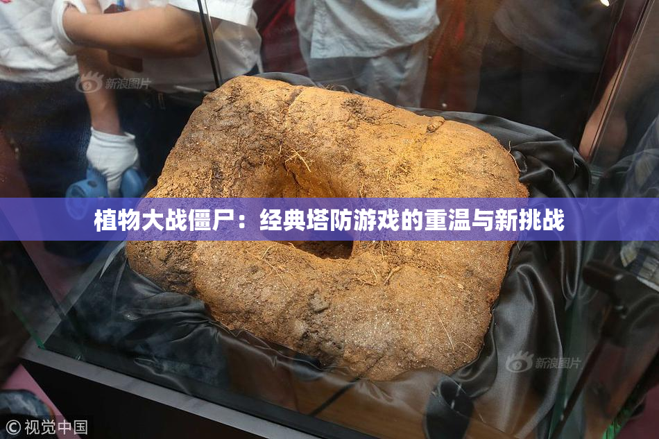 植物大战僵尸：经典塔防游戏的重温与新挑战