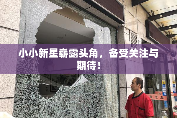 小小新星崭露头角，备受关注与期待！