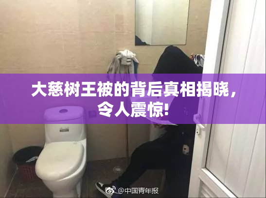 大慈树王被的背后真相揭晓，令人震惊!