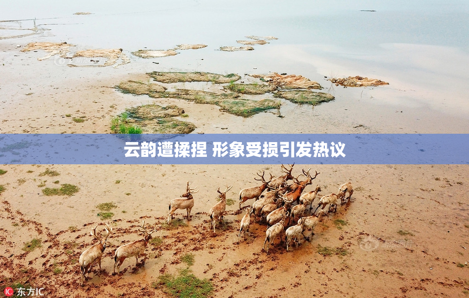 云韵遭揉捏 形象受损引发热议