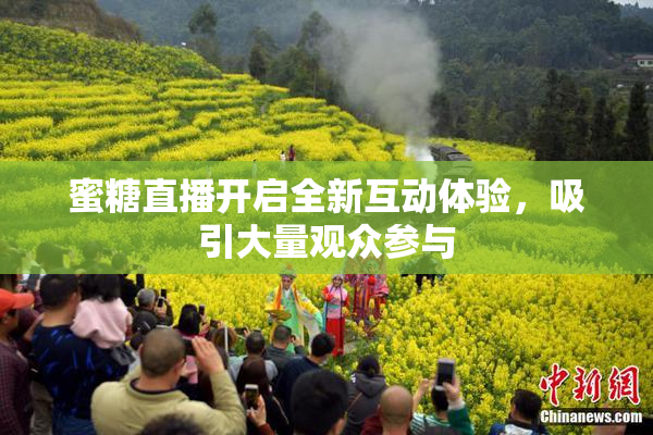 蜜糖直播开启全新互动体验，吸引大量观众参与